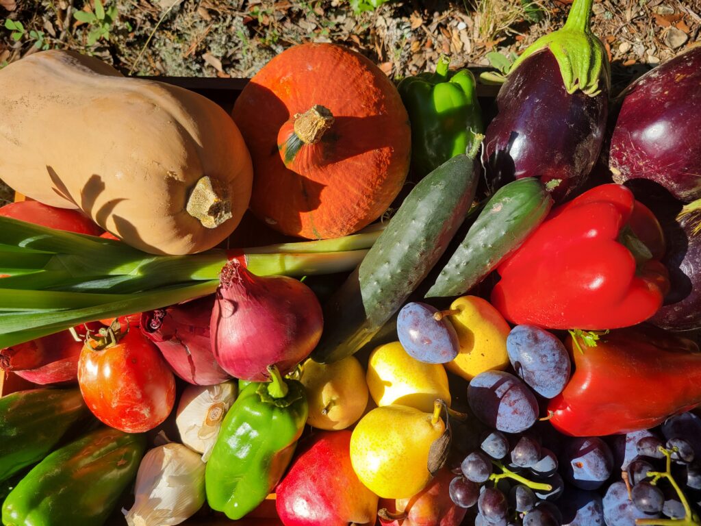 Retraite ayurvédique Provence