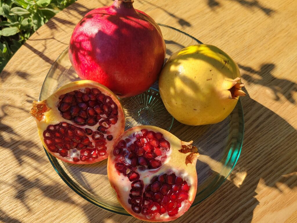 Retraite ayurvédique Provence